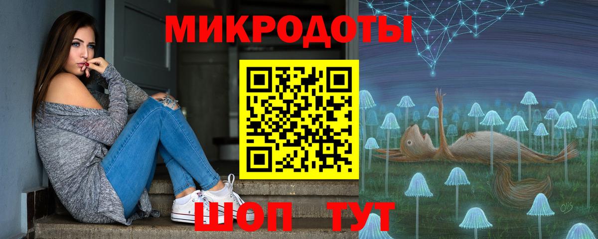 Псилоцибиновые грибы Psilocybine cubensis Ивантеевка